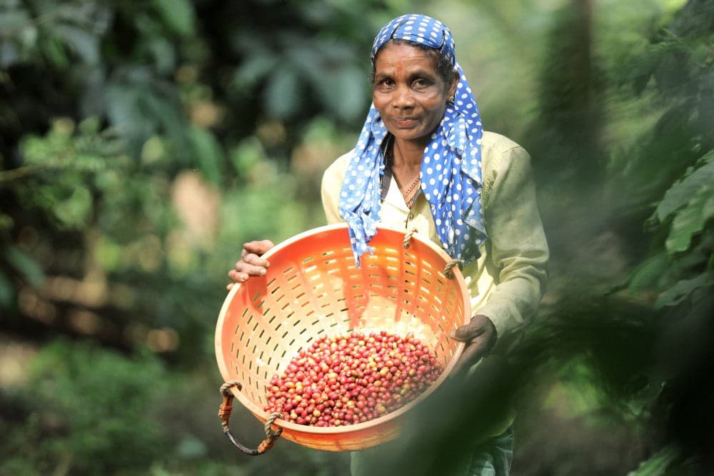 Maverick & Farmer - Photo 2