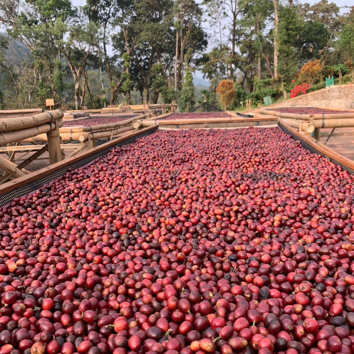 Maverick & Farmer - Photo 3