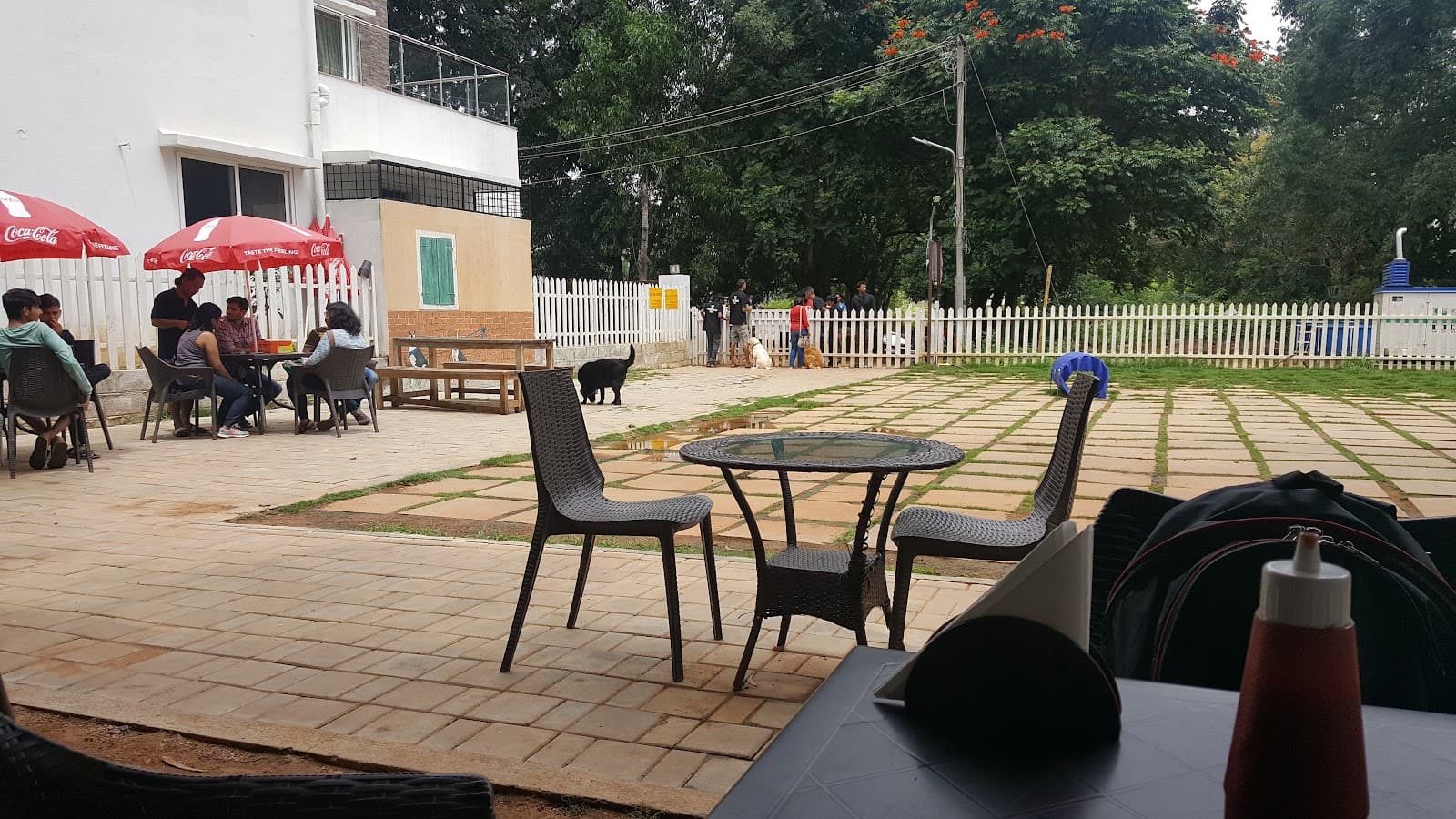 TherPup dog-friendly cafe in Whitefield