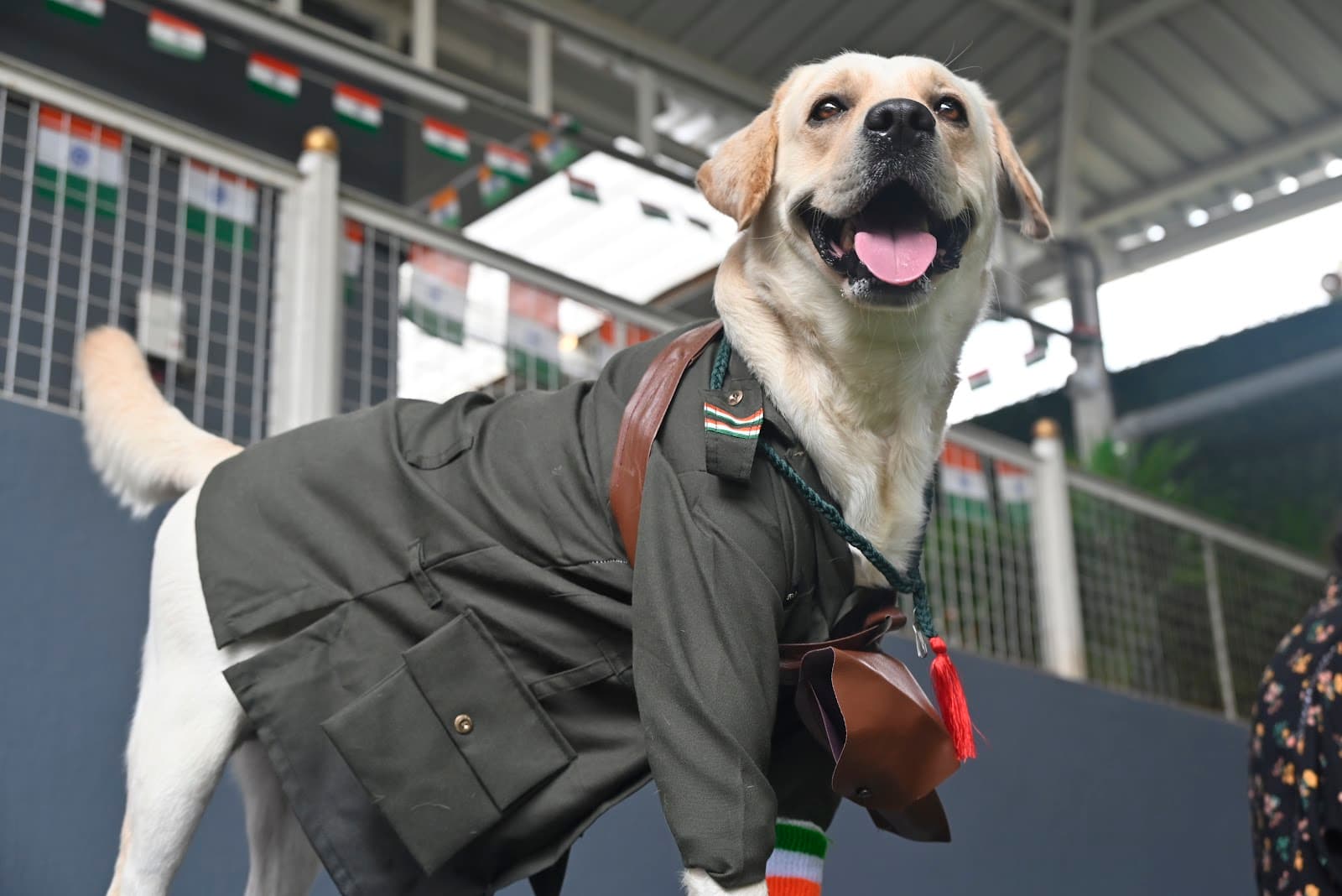 Venu’s Pet Care - Photo 3