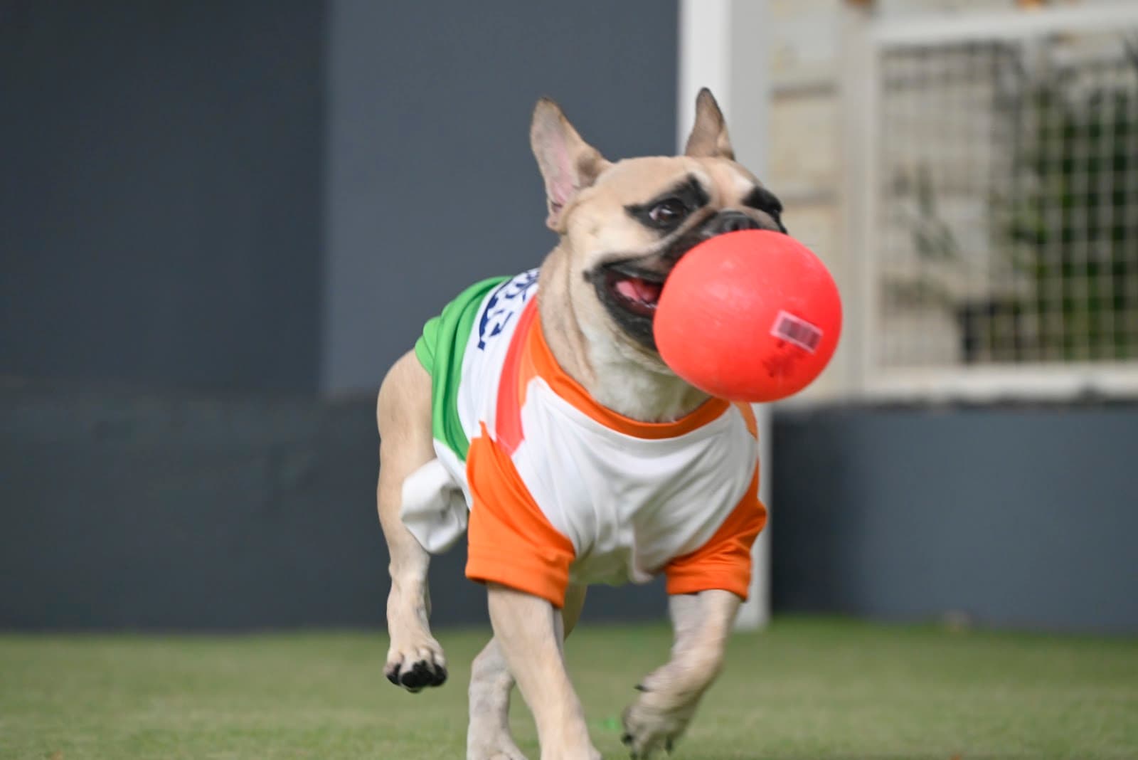 Venu’s Pet Care - Photo 4