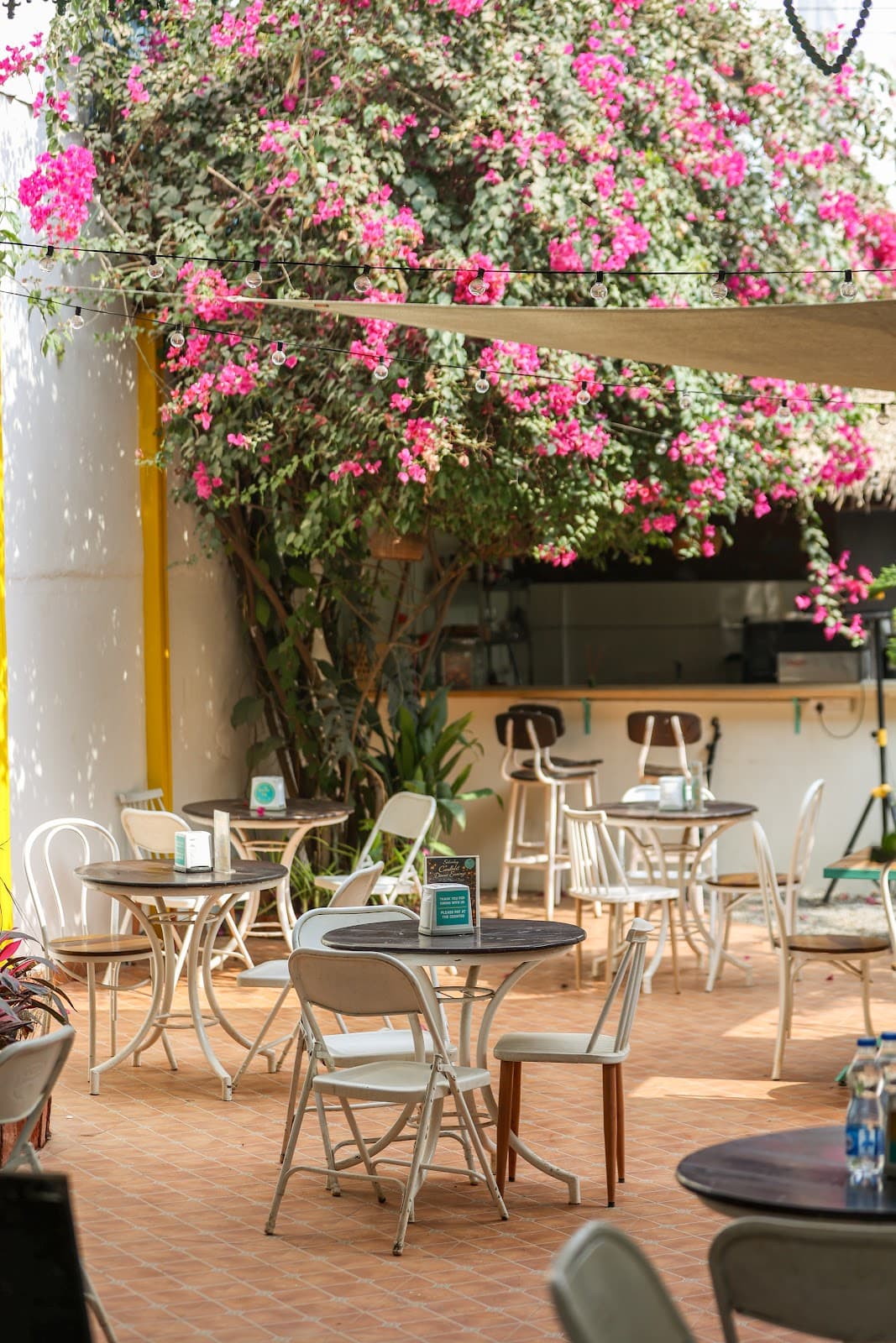 Zoey’s dog-friendly cafe in Sarjapur Road