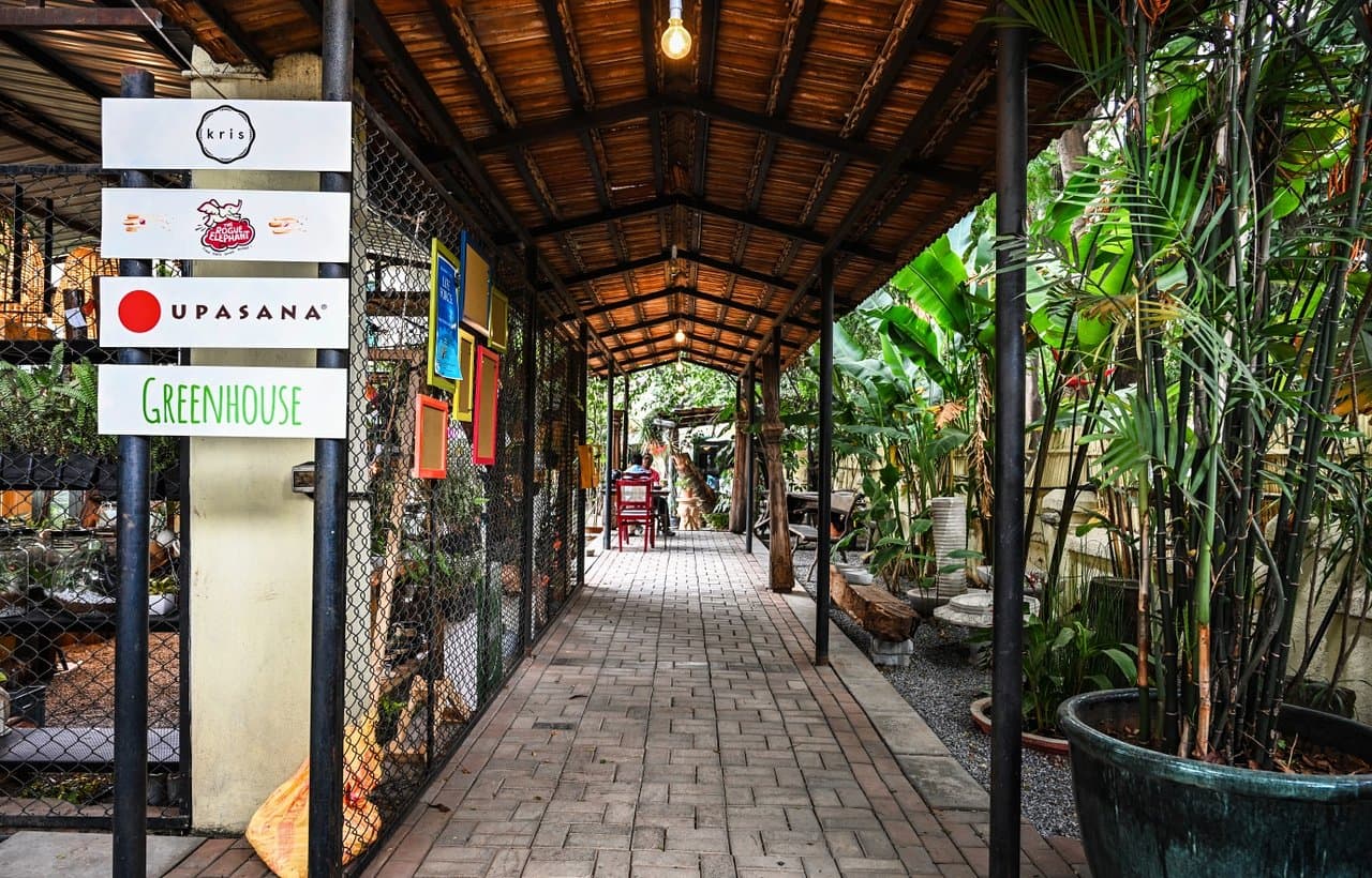 The Rogue Elephant - Photo 1