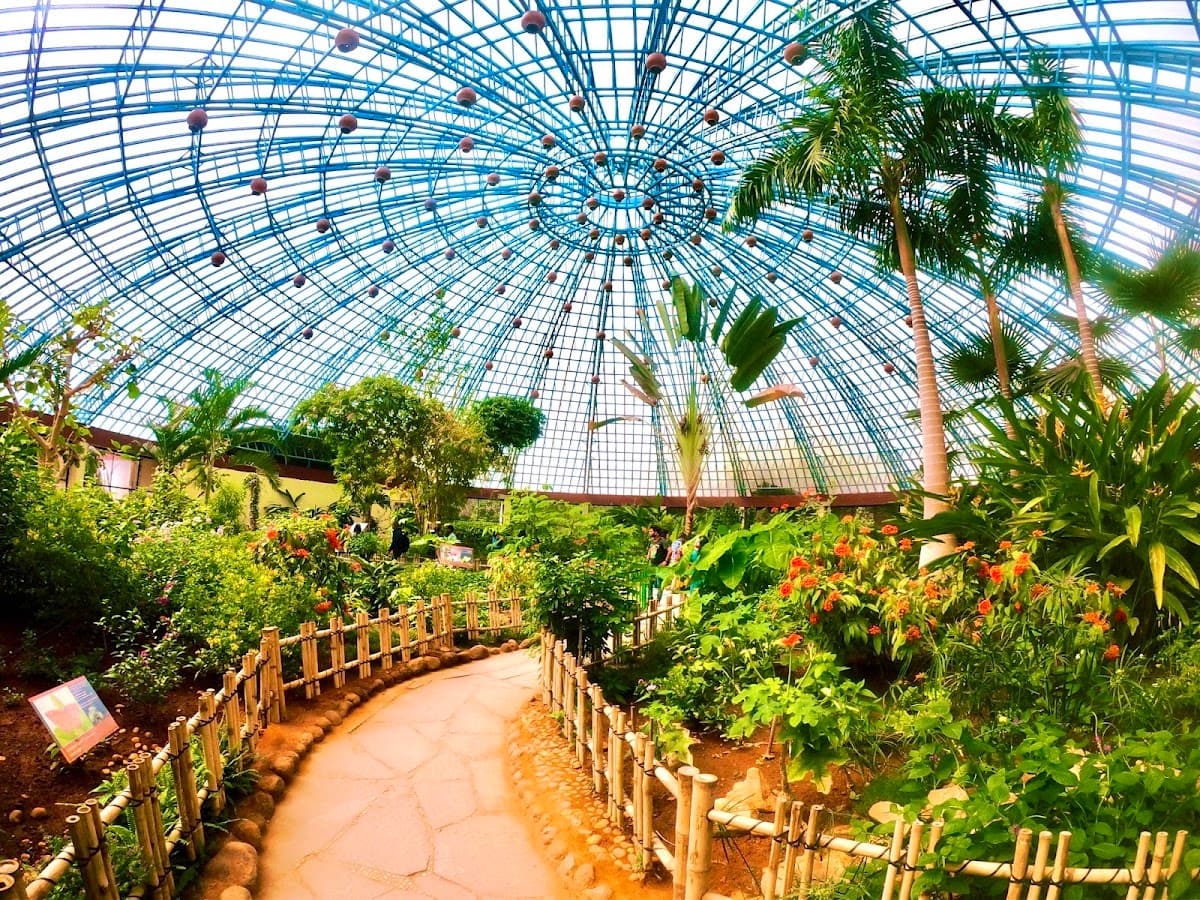 Butterfly Park (Bannerghatta)