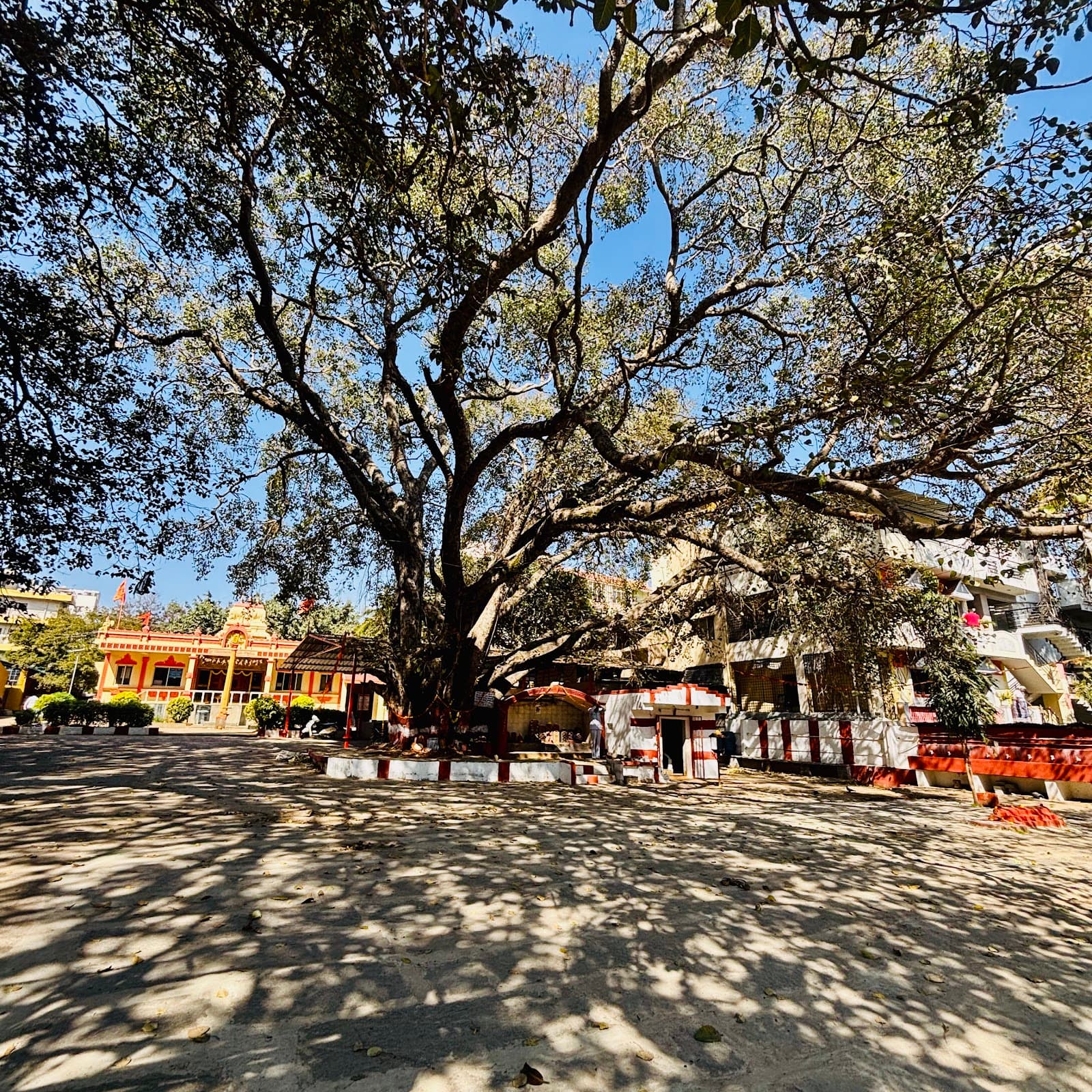 Sri Gundanjaneya Swamy Temple photo 5