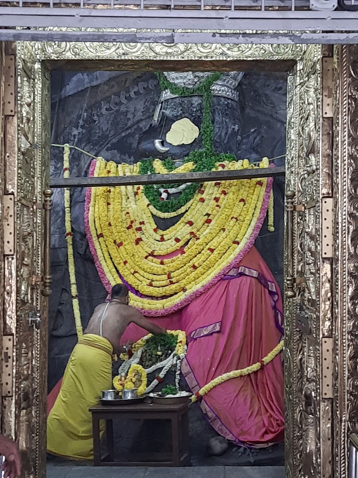 Sri Karanji Anjaneyaswamy Temple photo 5