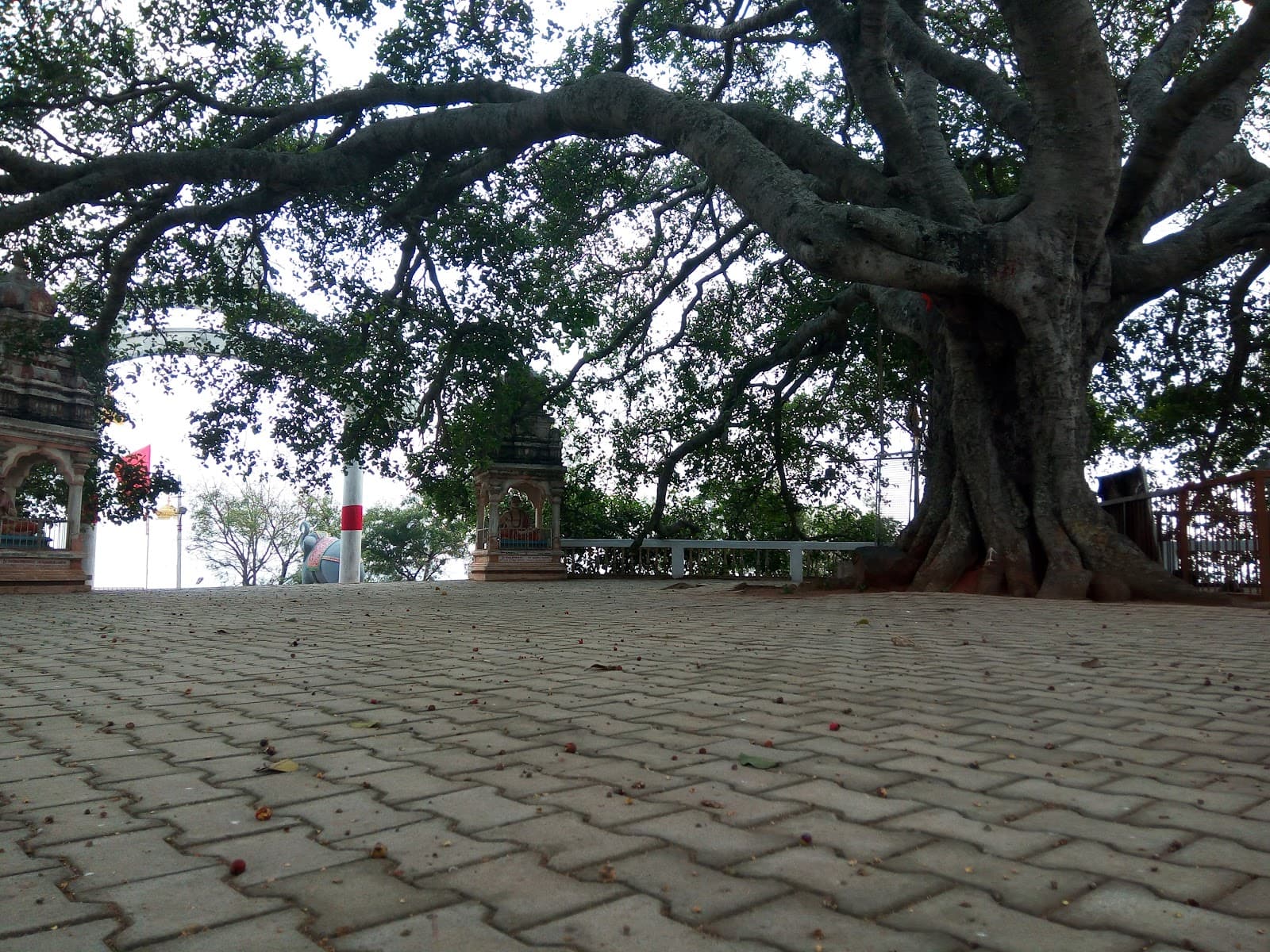 Sri Matsya Narayana Temple photo 2